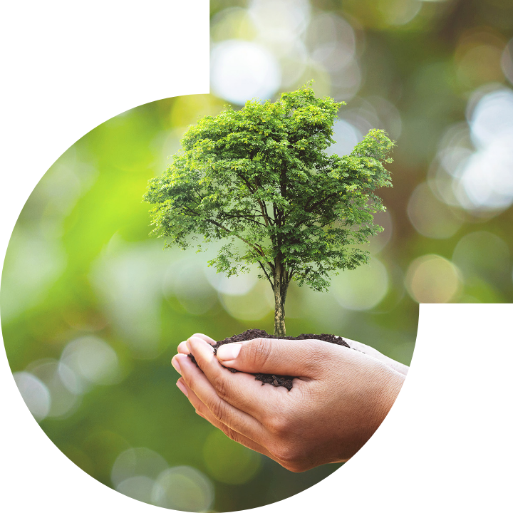 關懷人類、文化、環境與社會